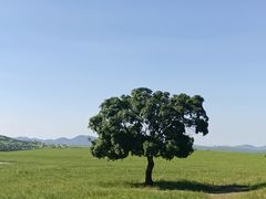 -五角枫生态旅游景区
