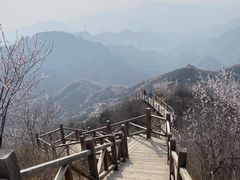 -大岭沟猕猴桃谷风景区
