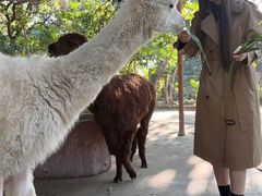 -深圳野生动物园