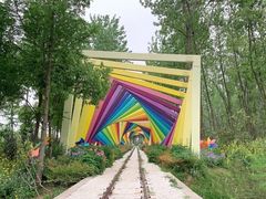 -合肥滨湖国家森林公园