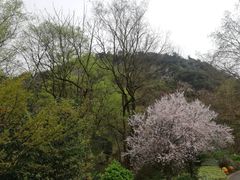 -阿哈湖国家湿地公园