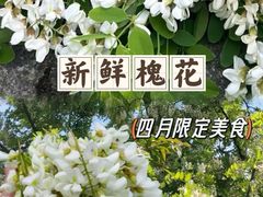 -北京凤凰岭