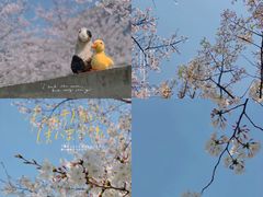 -龙美术馆(西岸馆)