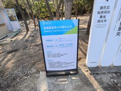 -杨梅坑