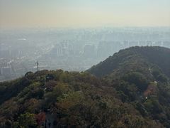 -杭州半山国家森林公园