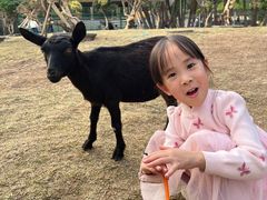 -东南花都花博园