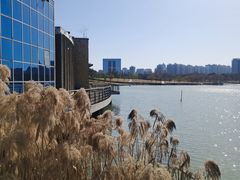 -白塘生态植物园