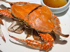 清蒸梭蟹-开海·红岛海鲜虾水饺(石老人店)