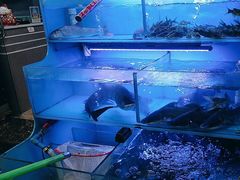 -韩妹鱼庄·泸定老字号(泸定店)