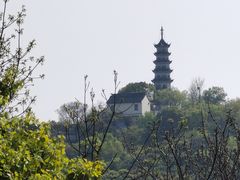 -苏州上方山国家森林公园