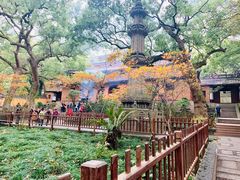 -普陀山风景名胜区-法雨禅寺