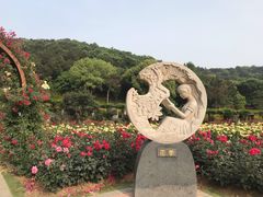 -龙寺生态园