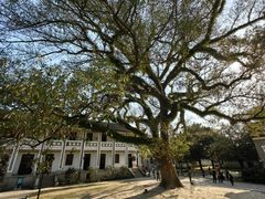 -溪口-滕头旅游景区