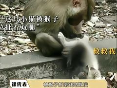 -昆明动物园