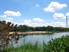 -大兴滨河森林公园