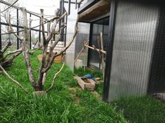 -祥源·阜阳生态乐园