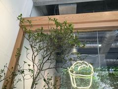 -喜茶(上海打浦桥日月光gelato lab+店)
