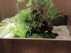 -湘邻呷铺·田园家宴(汉基广场店)