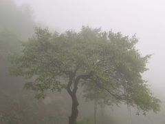 -阳台山自然风景区