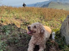 -灵山