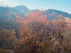 -北京鹫峰国家森林公园