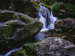 -青城道汤池