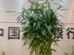 -中国工商银行(上海市威宁路支行)