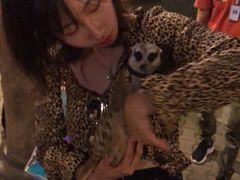 -清迈夜间动物园