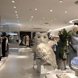 吃喝玩乐的时候[玫瑰][玫瑰][玫瑰][玫瑰][玫瑰]