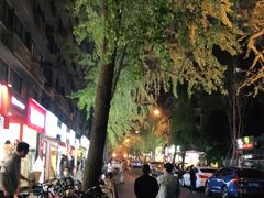 -奎星楼街