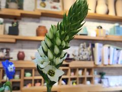 -今日陶艺(富力广场店)
