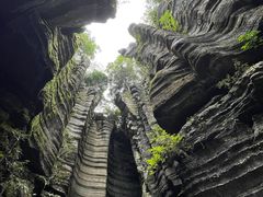 -梭布垭石林景区