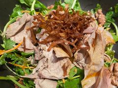 芝麻菜拌猪舌-胡麻(静安嘉里店)
