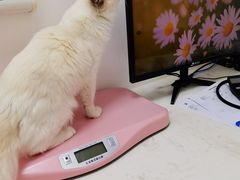 -福州肆爪动物医院