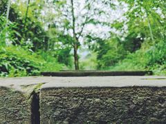 -峨眉山报国寺
