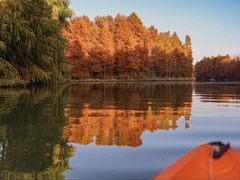 -上海海湾国家森林公园