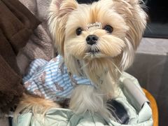 -吉友粥底火锅(方斜路店)