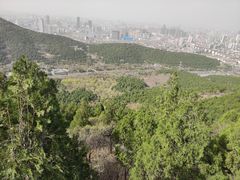 -佛慧山