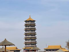 -金塔沙漠胡杨林景区