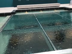 -加拿大国家美术馆