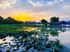 -济南大明湖景区