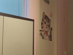 -三花喵·撸猫购宠·宠物生活馆(虹桥南丰城店)