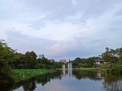 -桂湖森林公园