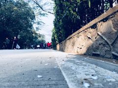 -武汉大学-樱园