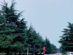 -河南省黄河迎宾馆