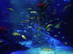 -沈阳海洋探索中心