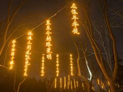 -洛阳市隋唐城遗址植物园