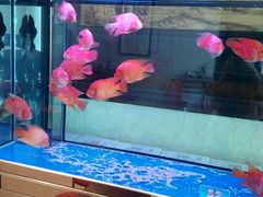 -鲁班喜悦酒店