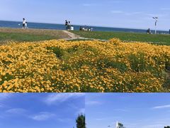 -巧克力渔家.小船海鲜家常菜(万平口店)