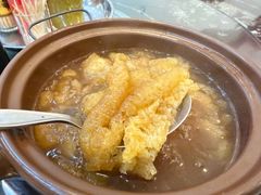 -大中鱼翅 Taitong Shark Fin